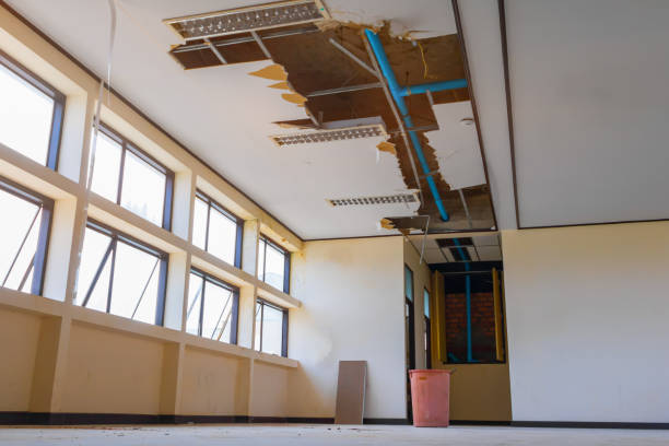 Best Water damage restoration process  in Ivey, GA