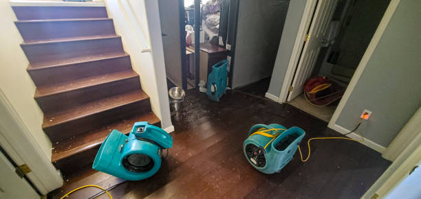 Best Commercial water damage restoration  in Ivey, GA