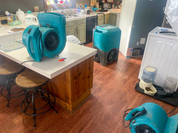 Best Carpet water damage restoration  in Ivey, GA