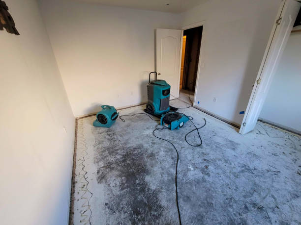 Best Water damage contractors near me  in Ivey, GA