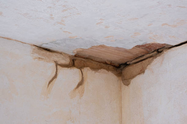 Best Water damage repair service  in Ivey, GA