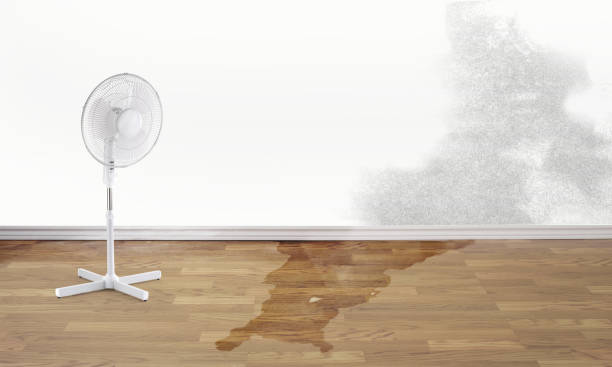 Best Water damage restoration near me  in Ivey, GA
