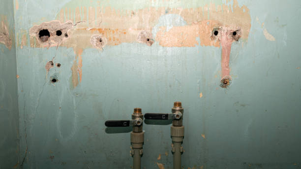 Best Residential water damage restoration  in Ivey, GA